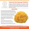Natural Sea Sponge Small 4-5" by Spa Destinations®"Creating The Perfect Bath and Shower Experience" Amazing Natural Renewable Resource!