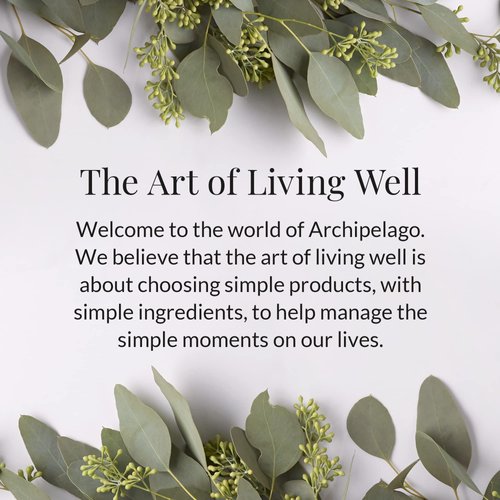 Archipelago Botanicals Botanico de Havana Body Lotion | Moisturizing, Hydrating Daily Body Lotion | Antioxidants and AHAs Target Redness, Dry Skin (15.3 oz)