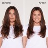 Kenra Moisture Shampoo | Boost Hydration | Improve Manageability and Shine | Nourish Dry Hair | Color Safe | Efforless Detangling | Normal to Dry Hair | 10.1 fl. oz.