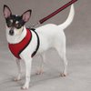 Casual Canine Mesh Dog Harness, Small, Red