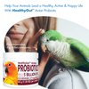 HealthyGut™ Avian Probiotics Dietary Supplement for Parrots, All-Natural Digestive System Formula (120 Servings)