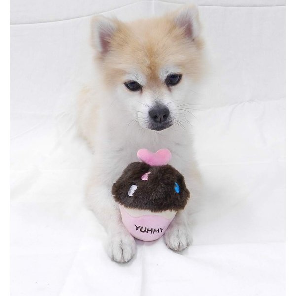 Funny Squeaky Toys Pet Dog Teeth Toy Puppy Chew Sound Novelty for Small Dogs Plush Dog Toys Cupcake