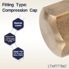 LTWFITTING 3/8-Inch Brass Compression Cap Stop Valve Cap,Brass Compression Fitting(Pack of 60)