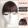 VAVANGA Straight Bangs Hair Clip In Extensions, Irregular Shape Wispy Hair Bangs Thick French Bangs Fake Fringe Curtain Bangs Hair Piece for Women(Light Brown)