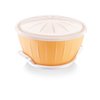 Tescoma Dough-rising bowl with warmer, ø 26 cm, Sourdough Bread Making Tools Kit