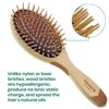 Giorgio Eco Friendly Wooden Bristle Hairbrush Set - Detangling Brush and Hair Growth Brush for Thick or Long Hair - Paddle Hair Brush with Anti Static Beechwood and Silicone Massage Cushion