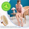 TEMEAYE Dry Brushing Body Brush, Body Skin Exfoliator Scrubber, for Skin Dry Brushing Massage, Lymphatic Drainage & Blood Circulation Improvement, Medium Strength (Boar Bristle and Wooden Handle)