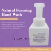 BIBLE N Beautyoils Cleanse Me With Hyssop Natural Foaming Hand Wash, Eco-Friendly, Vegan Foaming Hand Soap for Gentle (Lavender & Jasmine)
