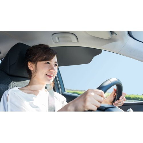 TuckVisor Limo Tint Sun Visor Sunshade Extender for Car Window Windshield Sun Shade Anti-Glare Car Sun Visor Protects from Sun Glare, Snow Blindness, UV Rays, Universal for Cars, SUVs Trucks 2 Pack