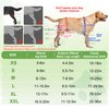 Dog ACL Brace for Front Rear Leg, Adjustable Dog Leg Braces Rear Leg or Front Legs, Pain Relief Hip Dysplasia Support CCL Brace for Pets Cruciate Ligament Injury Recovery, XS
