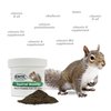 Squirrel Booster (2 oz.) - Complete Multivitamin - Powdered Vitamin & Mineral Supplement for Pet Squirrels