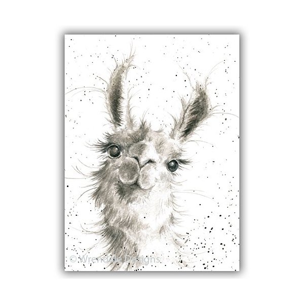"Because I'm Worth It" Llama greeting card