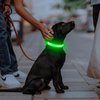 Illumifun LED Dog Collar, USB Rechargeable Light Up Dog Collars, Adjustable Safety Dog Collar Light for Your Dogs Walking at Night (Green, Medium)