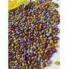 Sunbursts Chocolate Covered Sunflower Seeds 1LB Bag