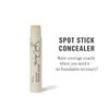 Jillian Dempsey Spot Stick Concealer | Easy Blending Matte Concealer for Blemishes & Uneven Skin Tones | Shade No. 02: Fair with Yellow Undertones