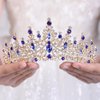JWICOS Tiaras and Crowns for Women Crystal Wedding Tiara Crown Headband Princess Tiara for Bride Quinceanera Crown for Birthday Prom Pageant Halloween Costume Cosplay (Blue)