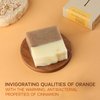 AUTHENTIC BATH & SOAP Cold Processed -Orange Cinnamon Soap Bar- for Oily, Acne-prone skin, Natural, Men & Women, Cruelty Free, Vegan. Face & Body Wash. (Pack of 2) 4.2 Oz Each
