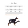 DroolingDog Dog Tee Shirts Black Dog Shirt Yorkie Clothes Dog T Shirt Small Puppy Dog Clothes Tshirts for Dogs Boy, Medium, Black