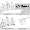 CURASA Birthday Sash and Crown Silver Birthday Sash for Women Birthday Crown Adult Women Giltter Its My Birthday Sash Birthday Tiara for Women Girls Princess Crown Birthday Decoration Party Favors Gifts