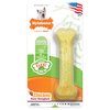 Nylabone Flex Chew Moderate Dog Chew Toy Bone, Chicken Flavor, Small/Regular (1 Count)