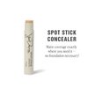 Jillian Dempsey Spot Stick Concealer | Easy Blending Matte Concealer for Blemishes & Uneven Skin Tones | Shade No. 05: Light-Medium with Peach Undertones