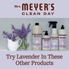 Mrs. Meyer's Clean Day Dryer Sheets Lavender (80 Count (Pack of 2))
