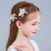 CASOLVX Bridal Small hair comb Crystal Hollow Leaf flower side comb suitable for brides bridesmaids and flower girls with wedding or Children's party 2PCS (Gold)