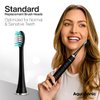 AquaSonic Standard Replacement Brush Heads | for Normal & Sensitive Teeth | Compatible with Many AquaSonic Toothbrush Handles (2 Pack Black)
