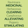 Plant Therapy Ravintsara Essential Oil 30 mL (1 oz) 100% Pure, Undiluted, Therapeutic Grade