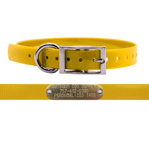 Outdoor Dog Supply's 3/4" Wide Solid D Ring Dog Collar Strap with Custom Brass Name Plate (School Bus Yellow)
