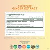 PURE SYNERGY SuperPure Ginger Extract | Ginger Root Extract Capsules | Organic Ginger Powder Digestion Supplement | for Stomach and Joint Support (60 Capsules)