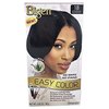 Bigen Easy Color Permanent Hair Dye With Aloe Olive Oil, Intense Black, 2.82 Oz (SG_B0722SMF14_US)