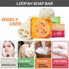 Dapoprren Natural Loofah Soap Bar 4PCS,Exfoliating Natural Soap with Loofah Inside-[Turmeric,Aloe,Rose,Coconut Milk],Moisturizing Handmade Soap For Face and Body