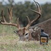 Elusive Wildlife Buck Oil - Liquid Deer Attractant