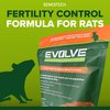 Senestech Evolve Cottonseed Oil-Based Soft Bait Contraceptive for Rats, Formulated to Lessen The Population in or Near Your Home, 1.5 lbs (Approx 21 Pieces)