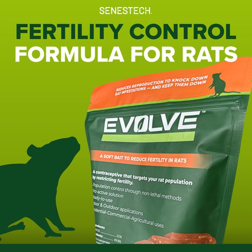 Senestech Evolve Cottonseed Oil-Based Soft Bait Contraceptive for Rats, Formulated to Lessen The Population in or Near Your Home, 1.5 lbs (Approx 21 Pieces)