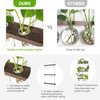 Mkono Plant Propagation Tubes, 3 Tiered Wall Hanging Terrarium with Wooden Stand Mini Test Tube Flower Vase Glass Planter Stations for Hydroponic Cutting Home Garden Office Decor Plant Lover Gift