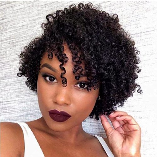 REYNA Short Curly Human Hair Wigs for Black Women Water Wave Brazilian Virgin Glueless Human Hair Wigs for Black Women
