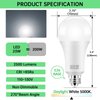 KINDEEP 150-200W Equivalent 23W E26 LED Bulb, A21 LED Super Bright Light Bulb, 2500 Lumens, Daylight White 5000K for Your Home, Office, Store, Garage, Warehouse, Garden 12-Pack