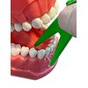 E-Z Floss Dental Floss Holder (Blue, Yellow, Green)