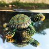 Waltz&F Diamond turtles Hinged Trinket Box Hand-painted Animal Figurine Collectible (green)