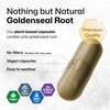 BIO KRAUTER Goldenseal Root Supplement - Organic Goldenseal Capsules 700 mg - Traditional Herbal Supplement - 100 Vegan Pills