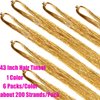 6 Packs 43 Inch Hair Tinsel Extensions with Tools Kit 1200 Strands Tinsel Hair Extensions for Women Girls Heat Resistant Sparkling Shiny Glitter Hair Pieces for Christmas Cosplay Party (43 inch, gold)