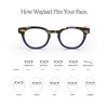 eyebobs Premium Reading Glasses for Women and Men | Waylaid - Round Shaped Frame for Average Faces | Available in 0.0x - 4.0x, Amber Fade, 3.00
