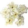 6 pc Lot Cream White Apple Blossom Silk Flower Hair Clips