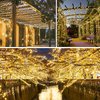 Extra-Long 66FT Christmas Lights Outdoor/Indoor, 200 LED Upgraded Super Bright String Lights, Waterproof 8 Modes Plug in Twinkle Fairy Lights for Christmas Tree Christmas Decorations (Warm White)