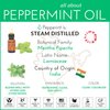 artnaturals 100% Pure Peppermint Essential Oil (.5 Fl Oz / 15ml) - Premium Therapeutic Grade Mentha Peperita - Fresh Mint for Hair Growth and Skin - Repel Mice and Spiders - Natural Rodent Repellent