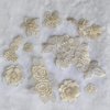 Qililandiy 10 Pcs Beige Mixed Style Embroidery Lace Flower Patches Appliques DIY Sewing Craft for Decoration, Sew On Patches for Repairing and Decorating