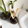 HOME INFINIX ECO-Friendly Coconut Shell Toothbrush Holder - Handmade Natural Bathroom Organizer Toothpaste Holder for Electric Toothbrushes, Razors, Pens - Sustainable for Bathroom Home & Office