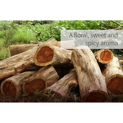 ArOmis Rosewood Essential Oil - Sweet, Floral Aroma for Relaxation & Aromatherapy - 100% Pure - 30ml (1 Fl Oz)